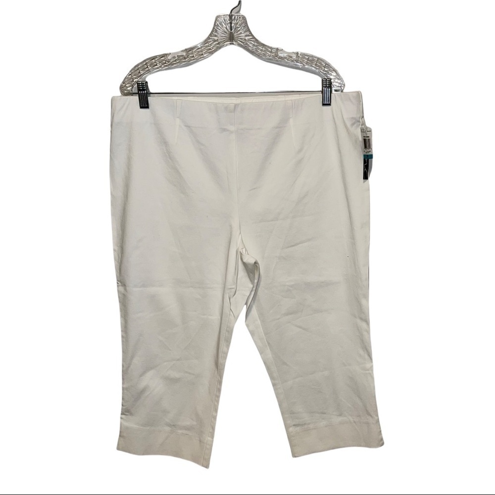 NWT INC Woman Pants Size 16
